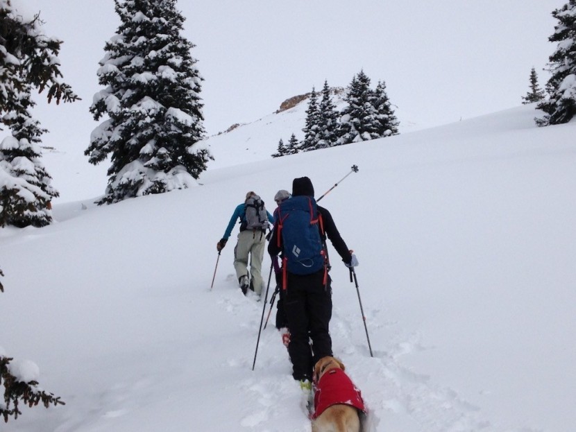 ski socks - a good pair of socks offer great thermoregulation at both the ski...