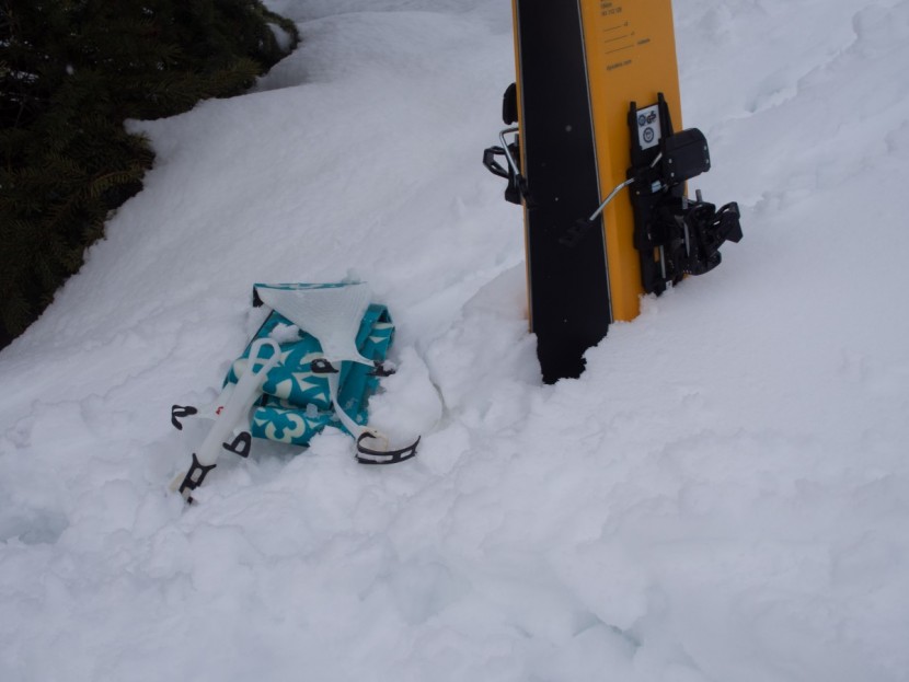 g3 alpinist+ glide - all climbing skins should be treated well. they are moody and...