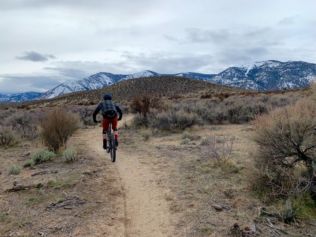 tioga undercover stratum ti - we feel this saddle is well suited to all types of riding, from xc...