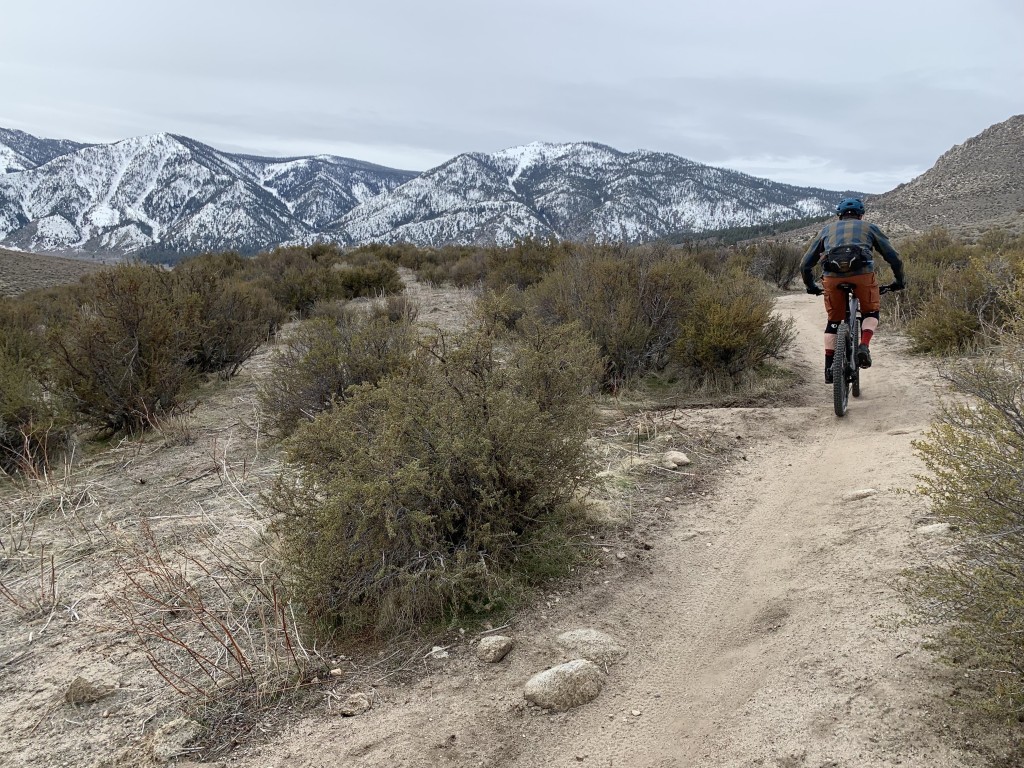 fizik monte s-alloy - good pedaling performance gets you up the hill so you can ride back...