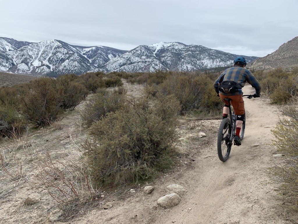 fizik monte s-alloy - the monte s-alloy is a good saddle, it just can't quite match the...