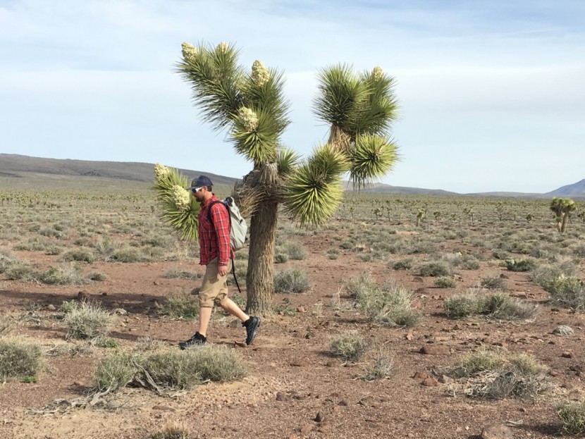 hoka toa gore-tex - great for day hiking as well for longer trips, the toa takes us for...