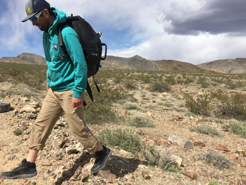 hoka toa gore-tex - these shoes work well in all types of hiking, especially day trips...