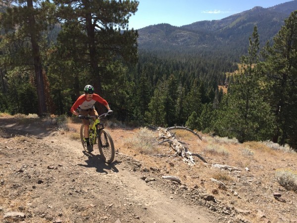 mountain bike shorts - out for a cross-country ride in the pedal friendly and highly...