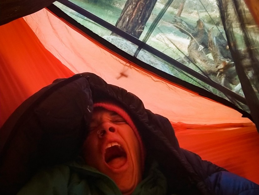 warbonnet ridgerunner - do we have to get up? it's so nice in here!