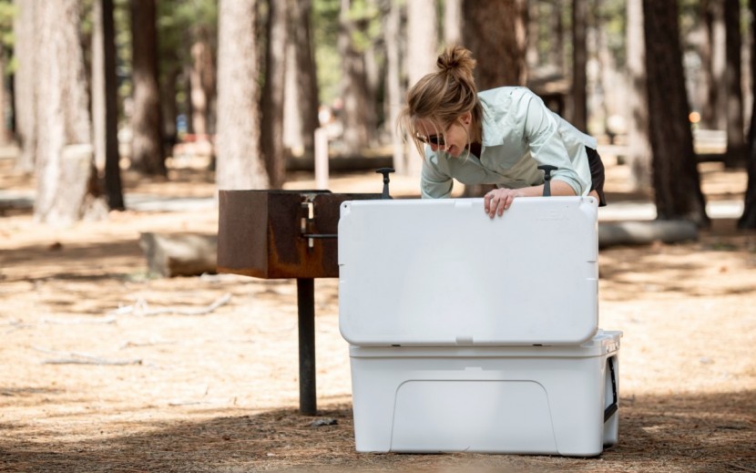 cooler - igbc certified coolers can help put you at ease when camping in bear...