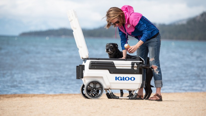 igloo trailmate marine - enjoy a beach day with this rolling cooler from igloo.