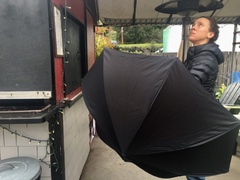 sharpty inverted - the large canopy diameter of the sharpty inverted doesn't tell the...