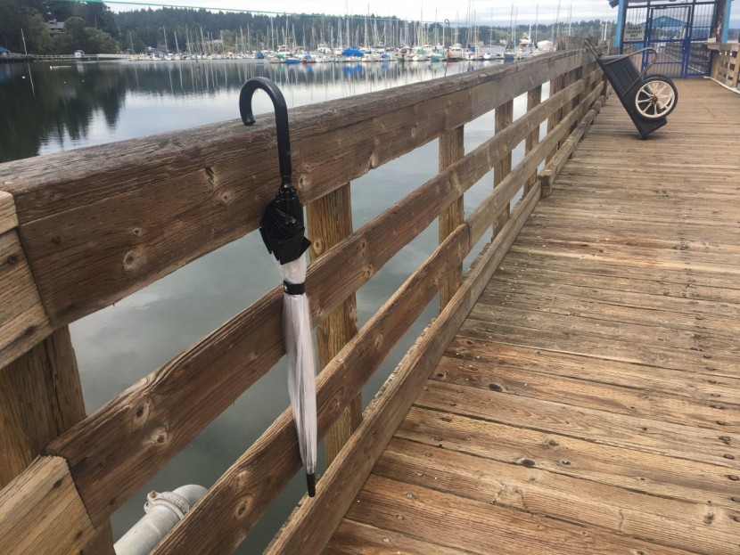 fulton birdcage - the birdcage's crook handle is easy to sling over an arm, doorknob...