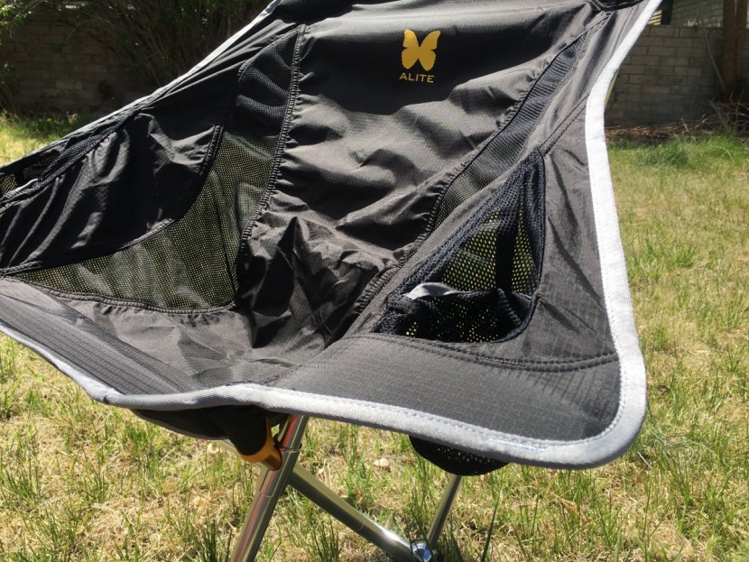 alite stonefly - a close-up of the award-winning stonefly. note the large swatches of...