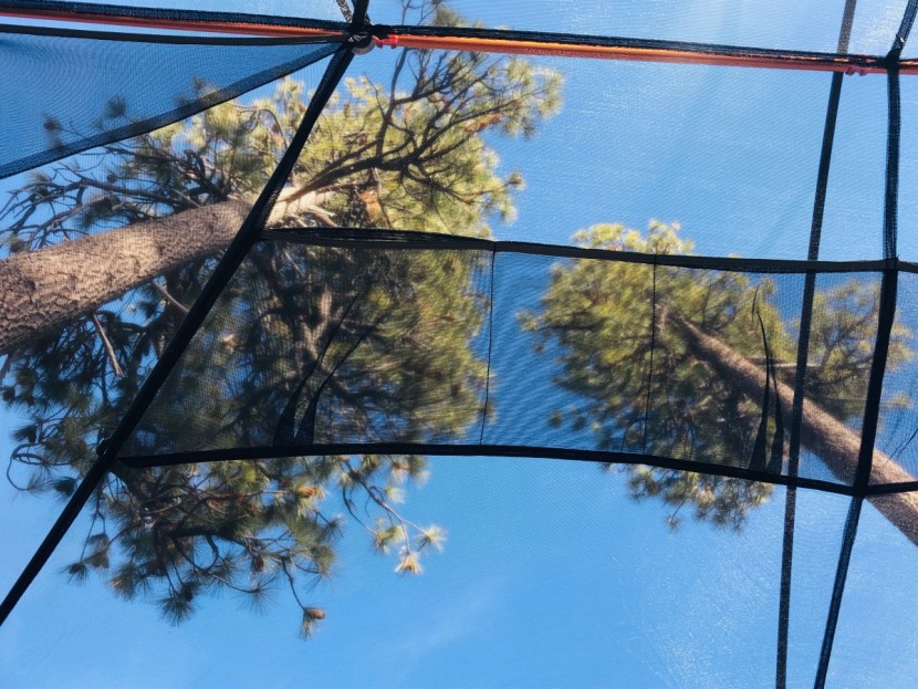 rei co-op half dome 4 plus - rows of individual storage pockets line the crest of the ceiling.