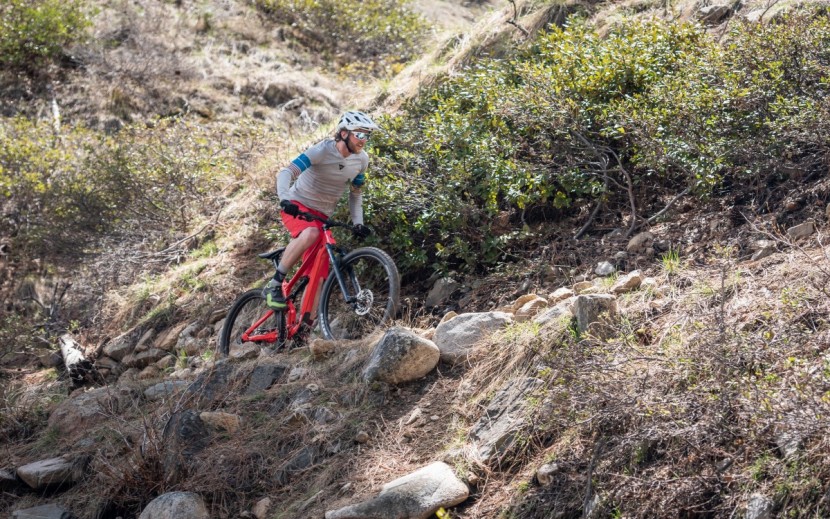 cannondale habit 6 - it can handle most climbing situations but it has less gear range...