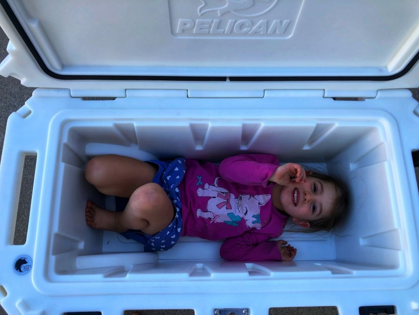 pelican elite wheeled - though it's large enough to fit a four-year-old, we don't recommend...