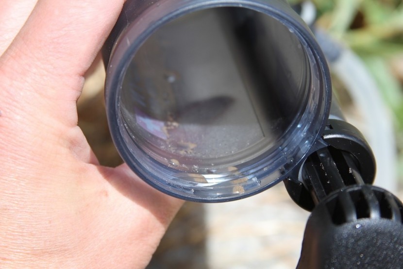 the filter requires regular maintenance to maintain an optimal flow...