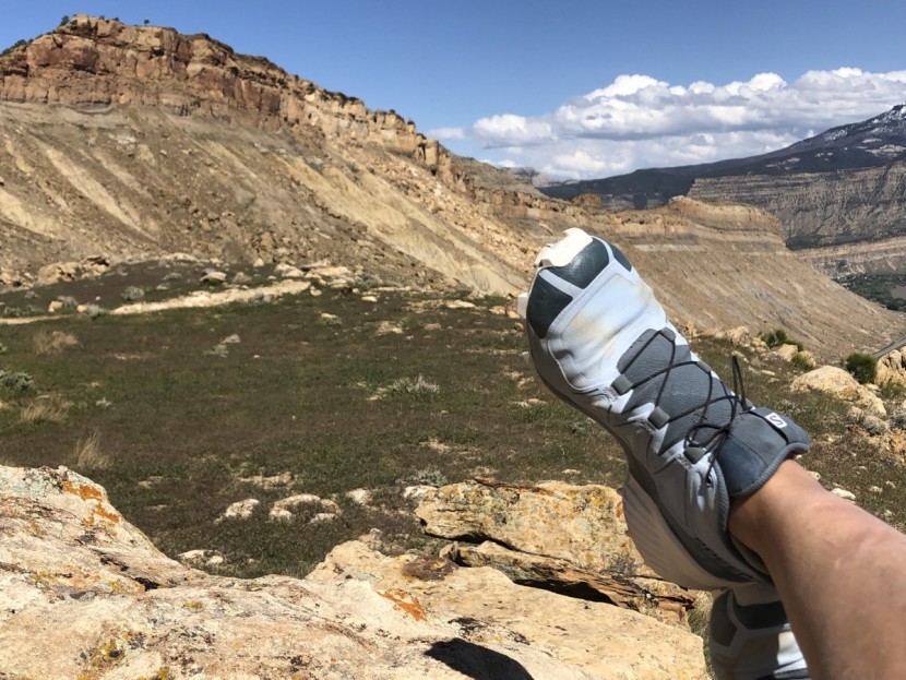 trail running shoes womens - the continuous upper of the salomon speedcross 5 is a favorite of...