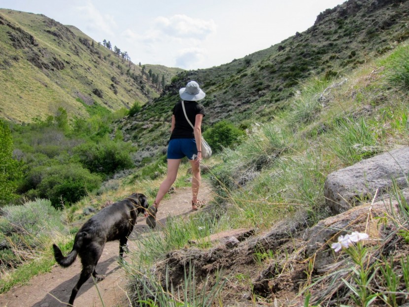 rei co-op paddler's hat - heading out for a day hike with your pup? you could do worse than...