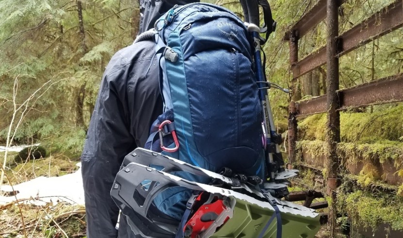 daypack - panel-loading designs make it very easy to access the main...