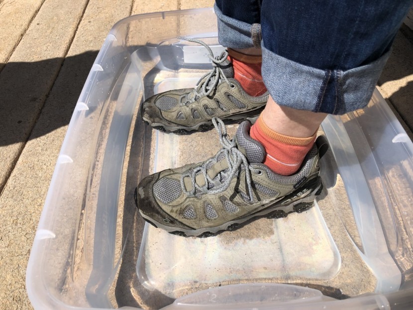 oboz sawtooth ii low bdry for women - the sawtooth ii absorbed over an ounce of water per shoe in our...