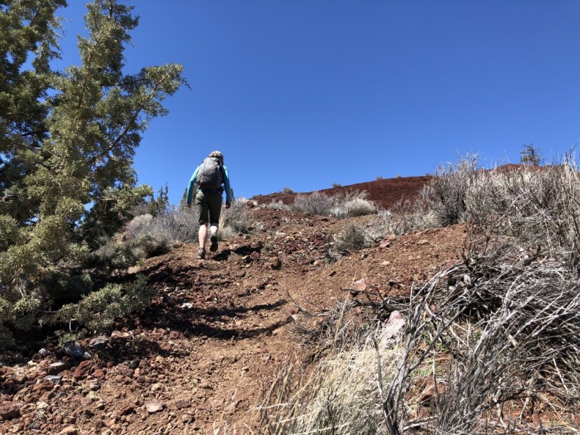 oboz sawtooth ii low bdry for women - even on steep, loose lava rubble, carrying a 20-pound pack, the...