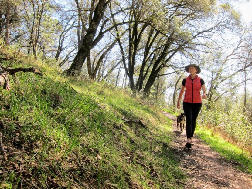 outdoor research helios - the helios offered adequate protection for a sunny day hike.