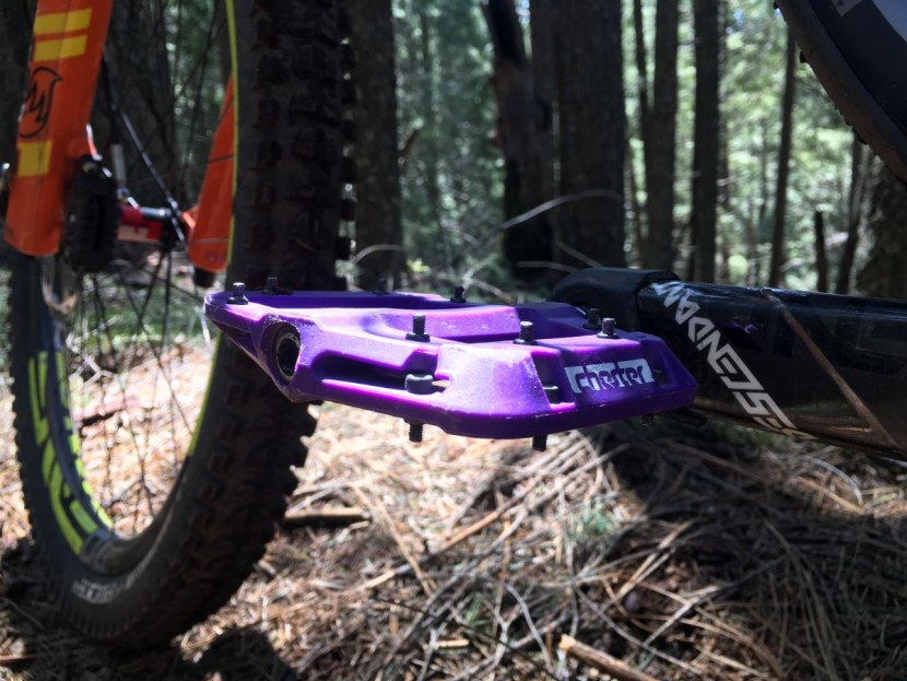 race face chester - the raceface chest in the woods around lake tahoe.