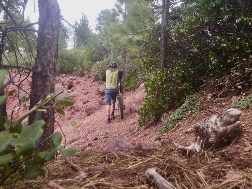 bontrager foray - the bontrager foray's sole is grippy enough for hiking loose...