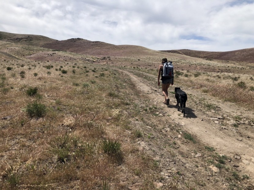 icemule pro - just a girl and her dog - and a really useful cooler.