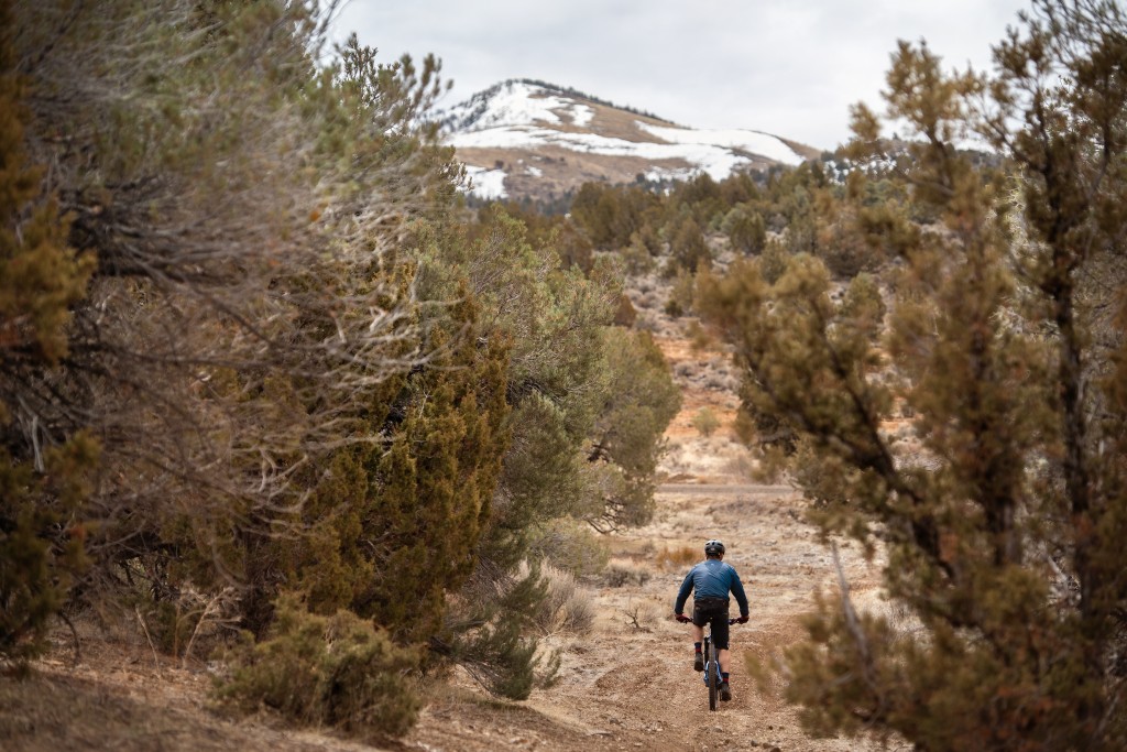 giant trance 29 2 - even tame terrain is pretty fun aboard this bright blue bicycle.