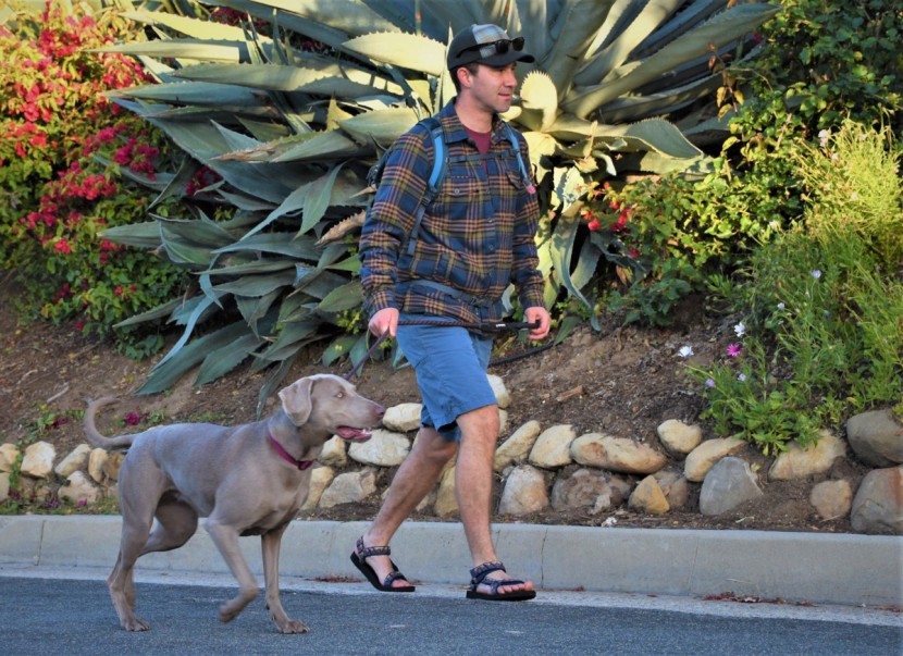 sandals mens - sandals for casual use and travel should be supportive and...