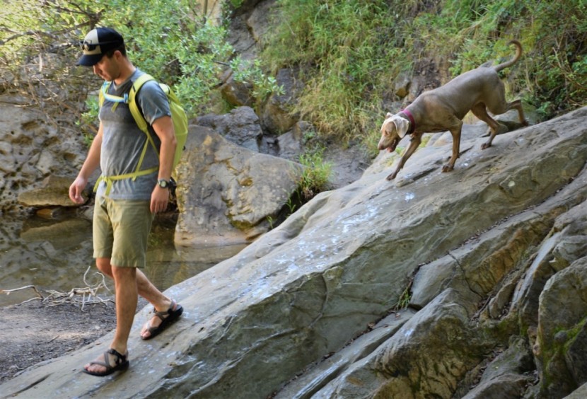 chaco z/volv 2 - we couldn't find anywhere the z/volv 2 couldn't go.