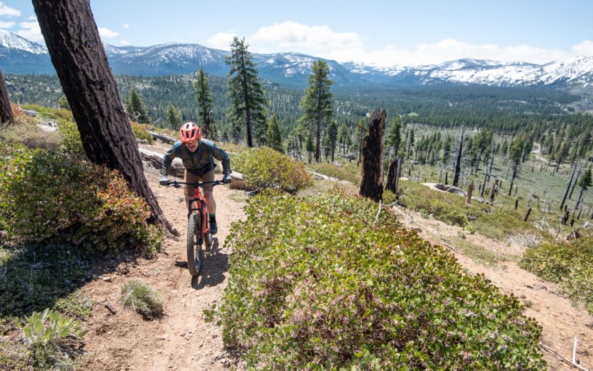 salsa timberjack nx eagle 27.5+ - grinding it out on a steep climb and getting out of the saddle to...