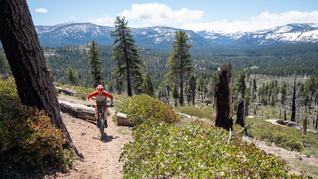 ibis dv9 nx - if you're looking for a lightweight, versatile, and efficient...