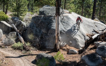 best hardtail bikes