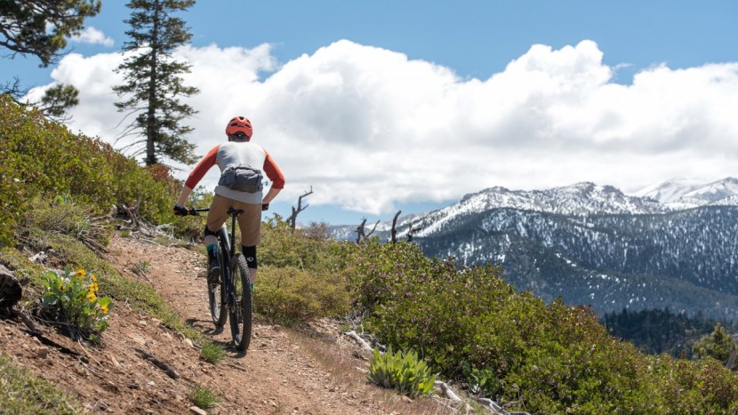 ibis dv9 nx - if you value efficiency the dv9 won't let you down.