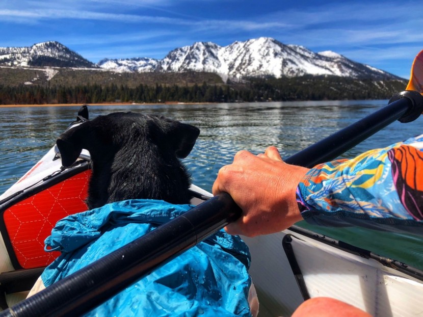 patagonia micro swell for women - this sun shirt doesn't dry as quickly as we expected.