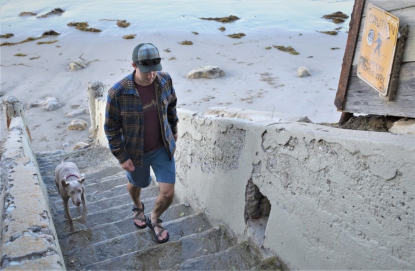 chaco z/volv 2 - the z/volv 2 is a solid all-around performer with no obvious...