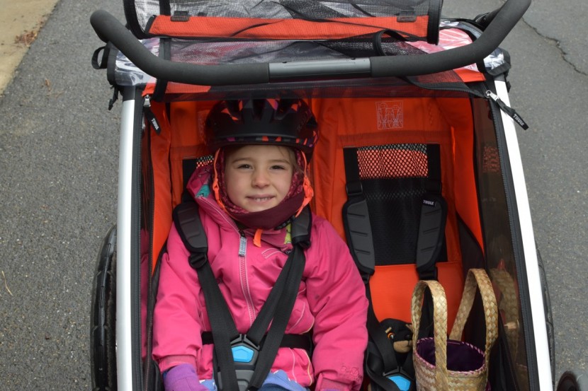 bike trailer - planning on riding in cold, wet weather? we&rsquo;ve tested for that.