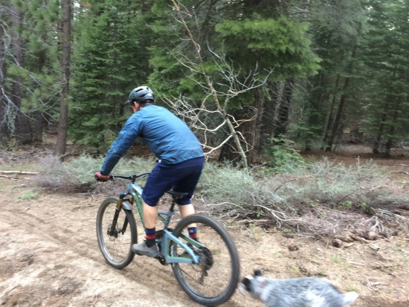 100% airmatic - these shorts are definitely designed for charging downhill.