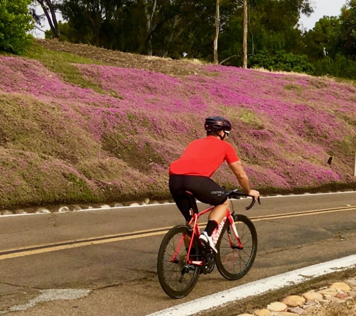 castelli nano flex 2 - even when your tail is getting torn up on roads that have turned...