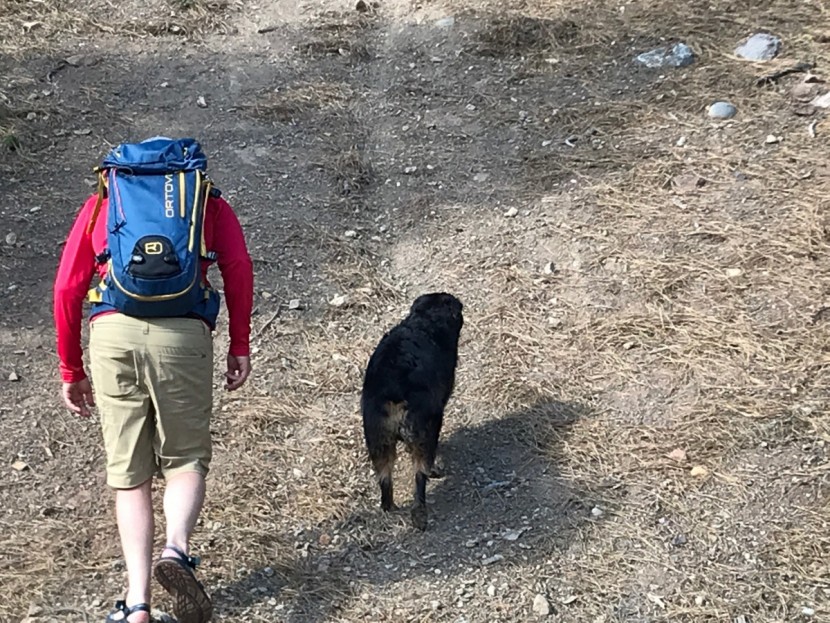 hanes sport cool dri long sleeve - hanes freshiq cooldri fabric makes for a solid way to wick sweat...