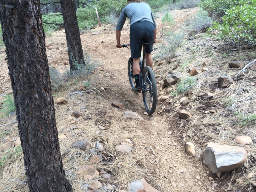 bontrager foray - weight is one of the foray's strong suits. these are a lightweight...