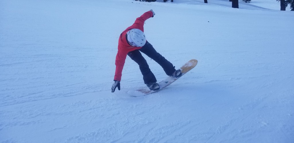 arbor swoon rocker - the swoon rocker features a soft to medium flex and a twin shape...