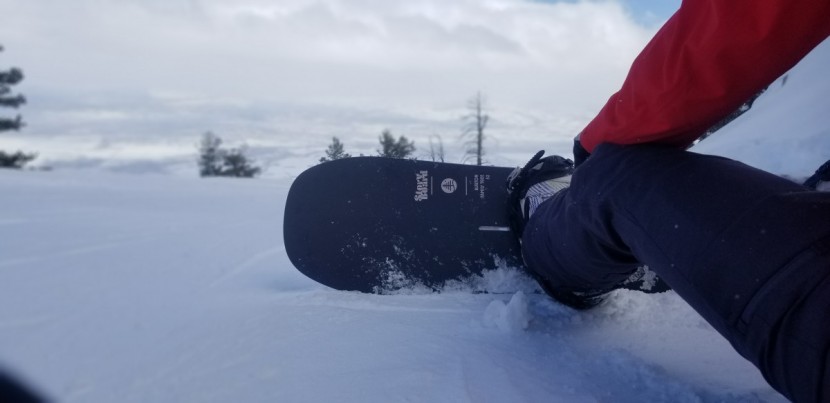 burton family tree story board for women - the story board is an all-mountain charger for aggressive riders.