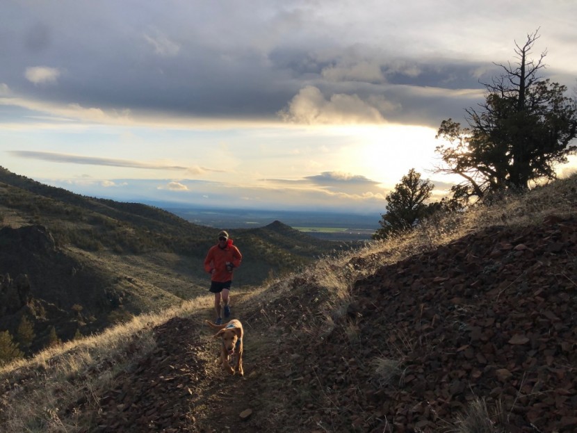 saucony peregrine iso - ideally, your shoes will grip the ground as well as a set of dog's...