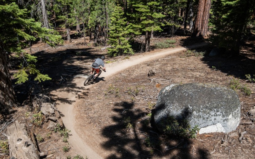 canyon neuron cf 8.0 - the neuron is right at home on smooth and moderate trails.