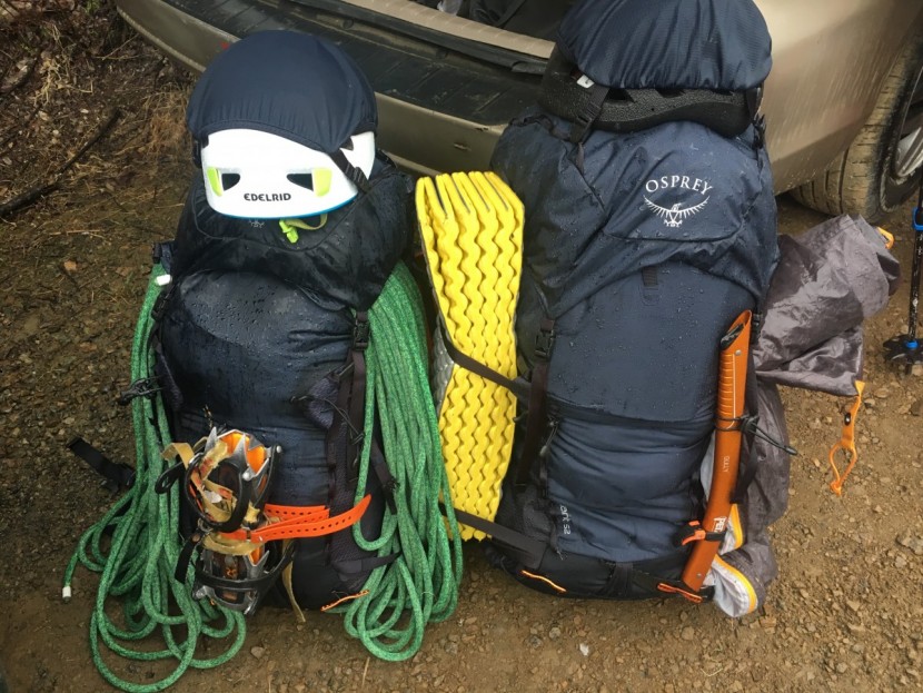 there's some reference to goldilocks in this photo of the osprey...