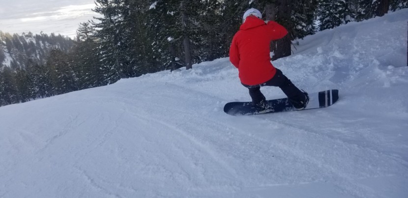 burton family tree story board for women - the story board has a stiffer flex and is stable at high speeds.