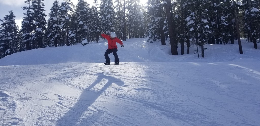 burton family tree story board for women - despite its stiff flex, we found the story board to have a decent...