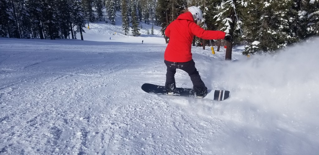 burton family tree story board for women - the story board delivers a super fun and surfy ride in even the...