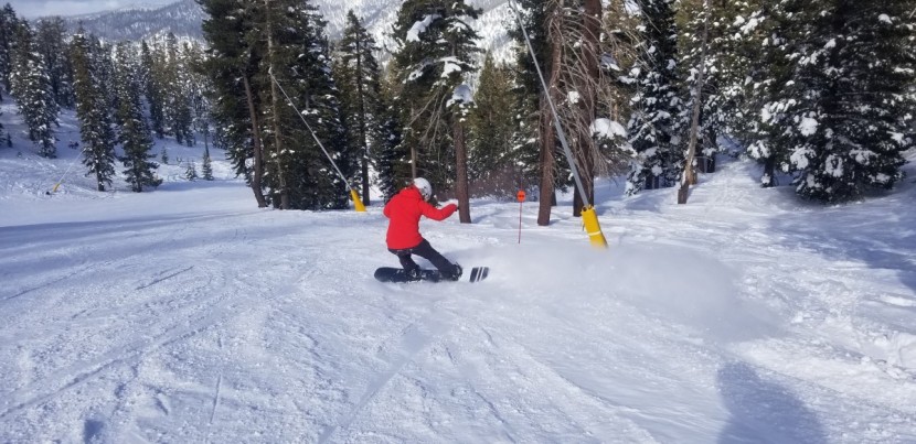 snowboard womens - the story board is a great choice for aggressive all-mountain riders.